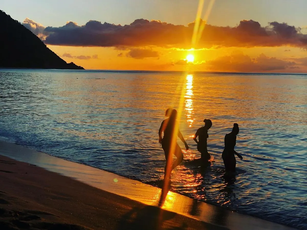 Vue Mer/3Beds/Piscine/Wifi/900 Metres De La Plage Deshaies 0*,  Guadeloupe