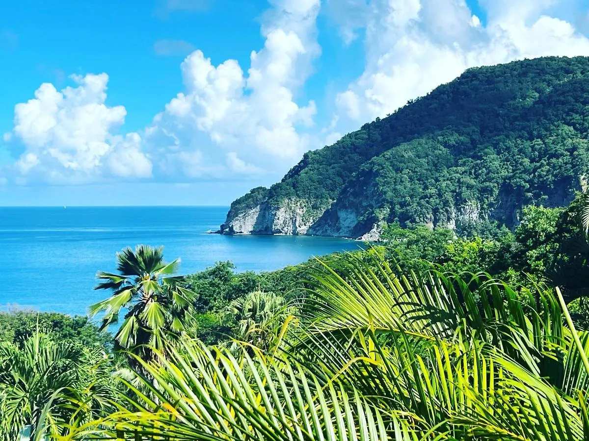 Vue Mer/3Beds/Piscine/Wifi/900 Metres De La Plage Deshaies