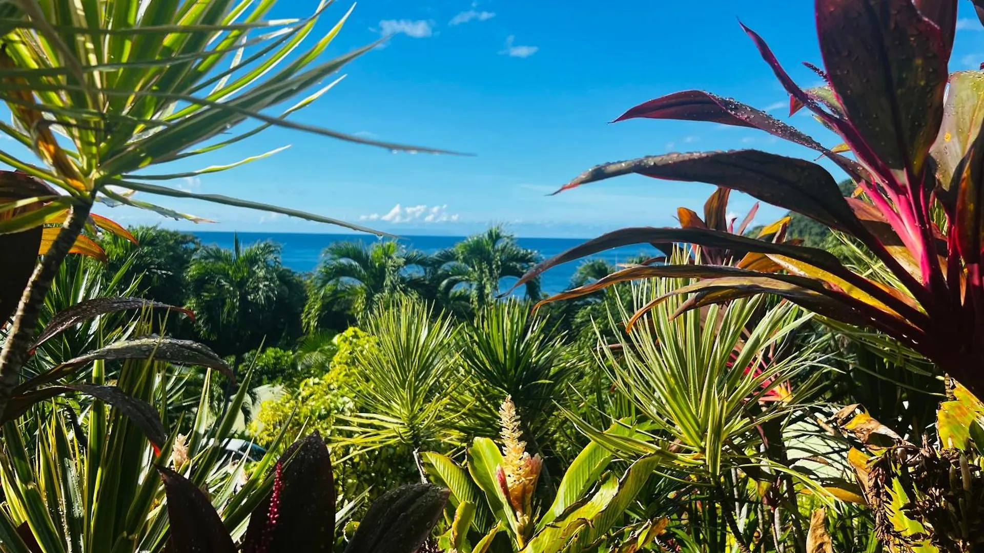 Villa Vue Mer/3Beds/Piscine/Wifi/900 Metres De La Plage Deshaies