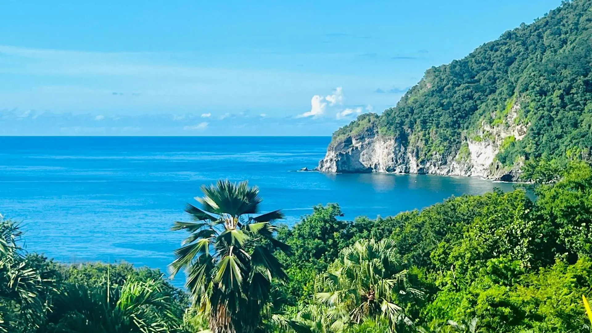 Vue Mer/3Beds/Piscine/Wifi/900 Metres De La Plage Deshaies 0*,