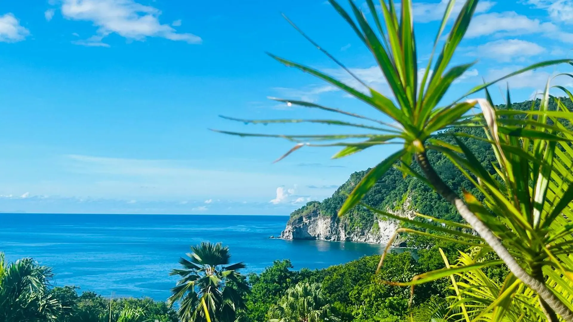 Vue Mer/3Beds/Piscine/Wifi/900 Metres De La Plage Deshaies